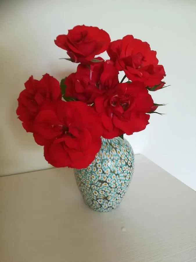 Guest house Casa Pianta Hotel Cavallino-Treporti