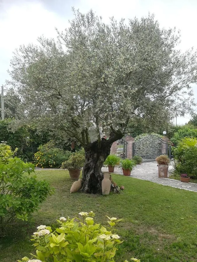 Casa Pianta Hotel Cavallino-Treporti 0*,